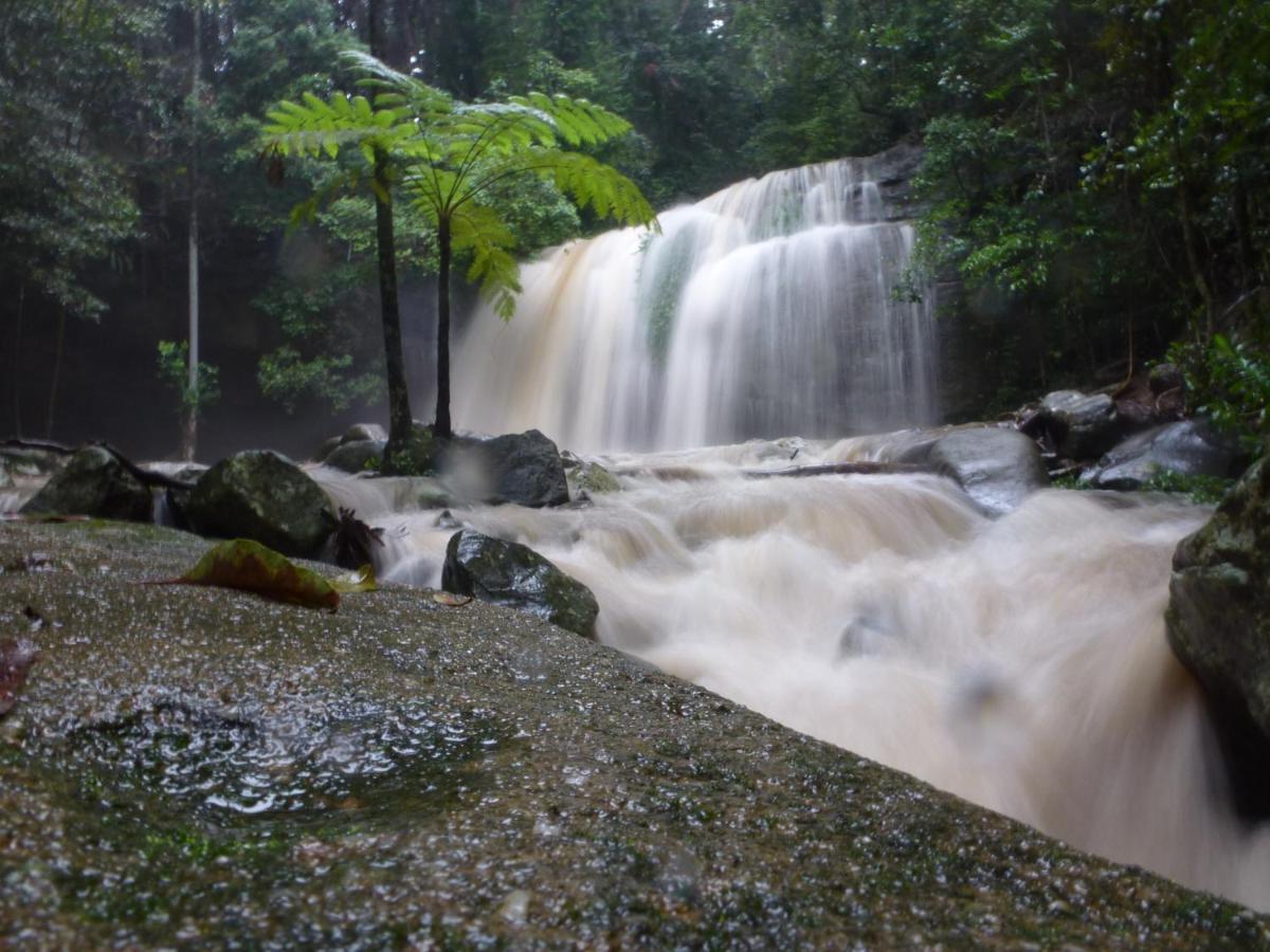 Buderim Forest Hideaway المظهر الخارجي الصورة